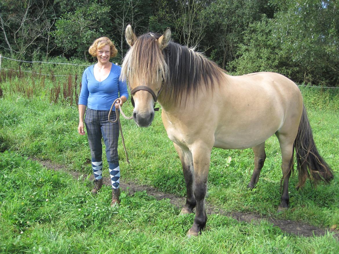 Anden særlig race Apollo , udlånt/solgt på afbetaling billede 10