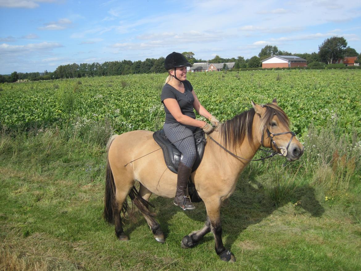 Anden særlig race Apollo , udlånt/solgt på afbetaling - apollos yndlingsrytter, Rhianna billede 11