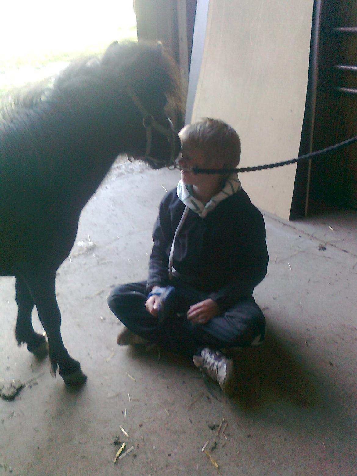 Anden særlig race Trøffel - Lasse holder Trøffel med selskab mens han bliver striglet billede 6