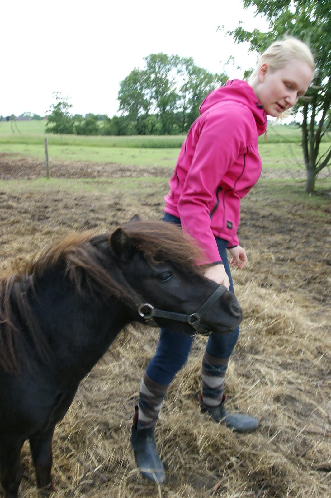 Anden særlig race Trøffel - Kom så, vi skal den her vej ;) billede 3