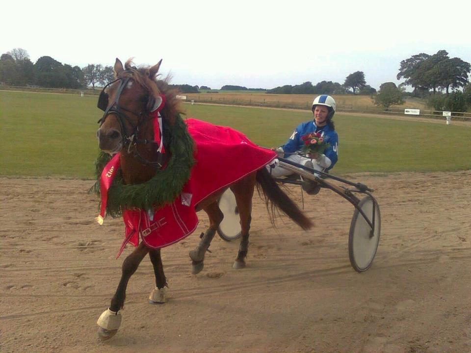 Gotlandsruss Gabriel Gross - Derbyvinder 2012! billede 2