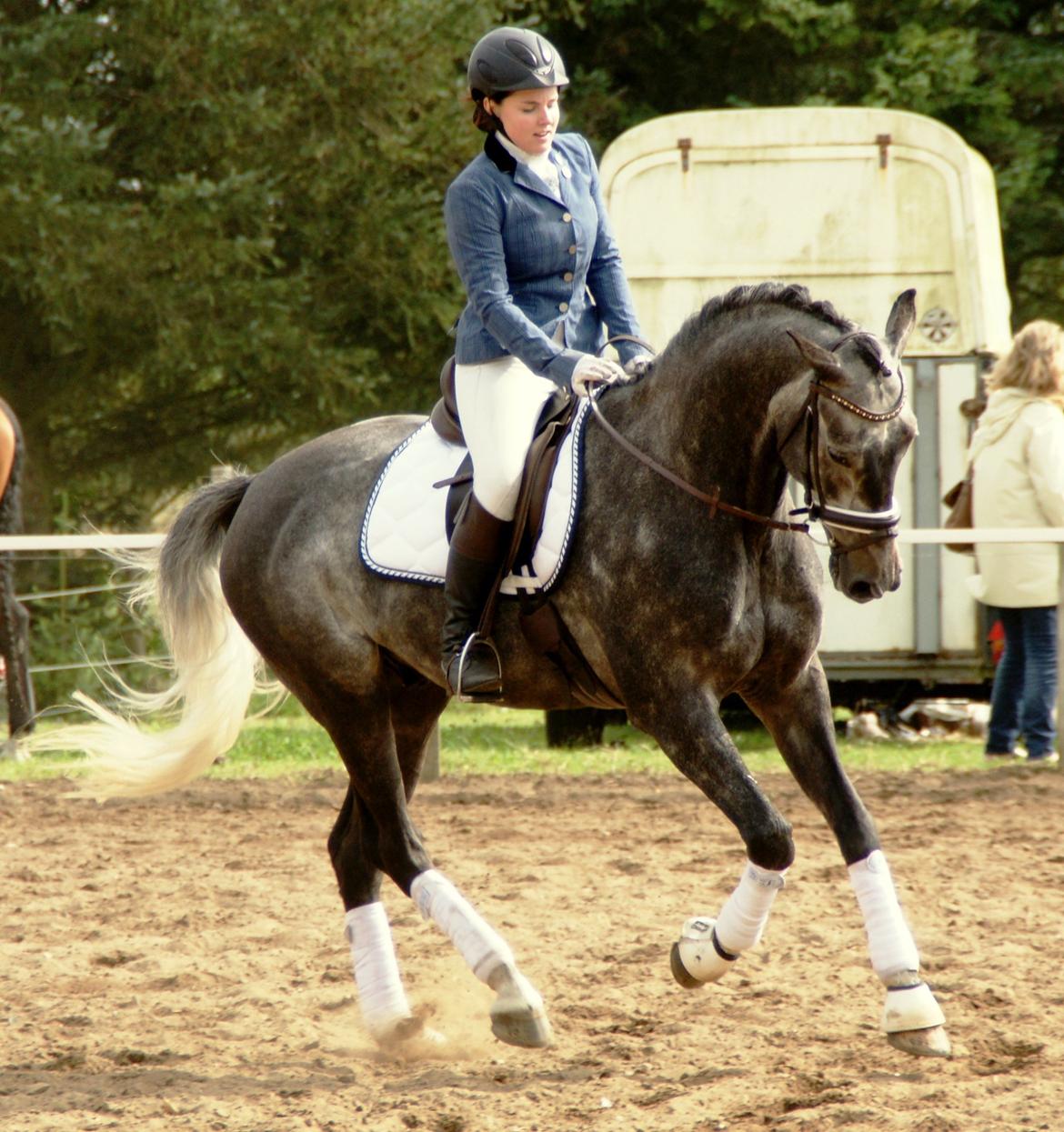 Dansk Varmblod LE-QUI'TO billede 7