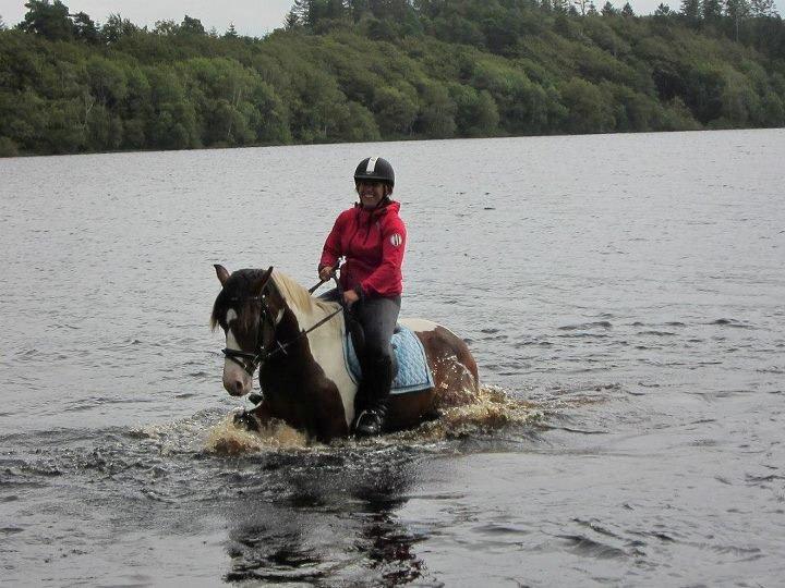 Anden særlig race Felix billede 10