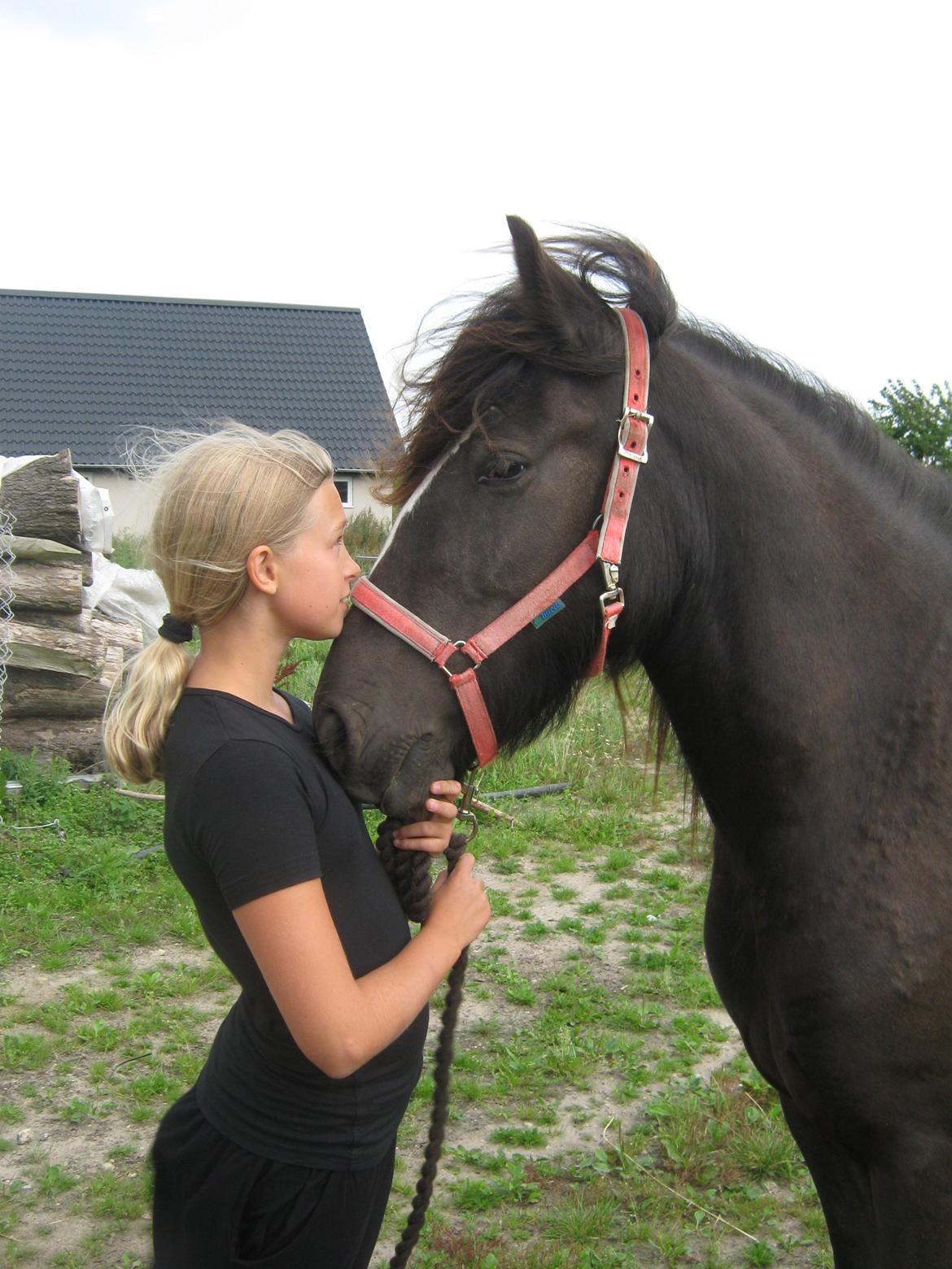 Tinker Nørgaards Summer dream - Dig og mig for altid. billede 3
