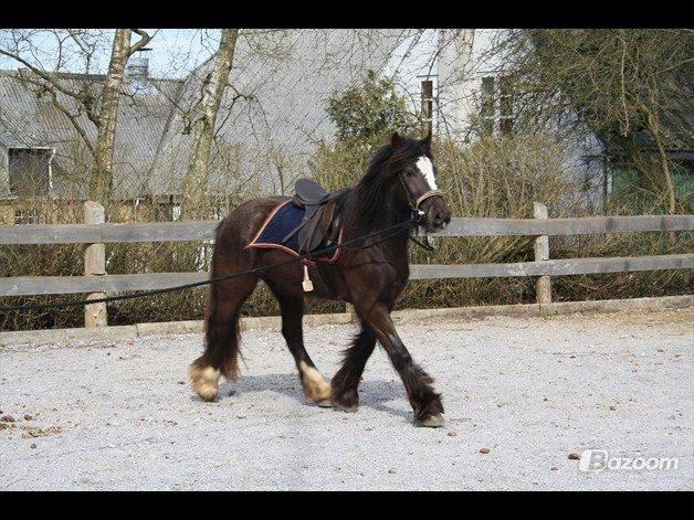 Tinker Nørgaards Summer dream billede 19