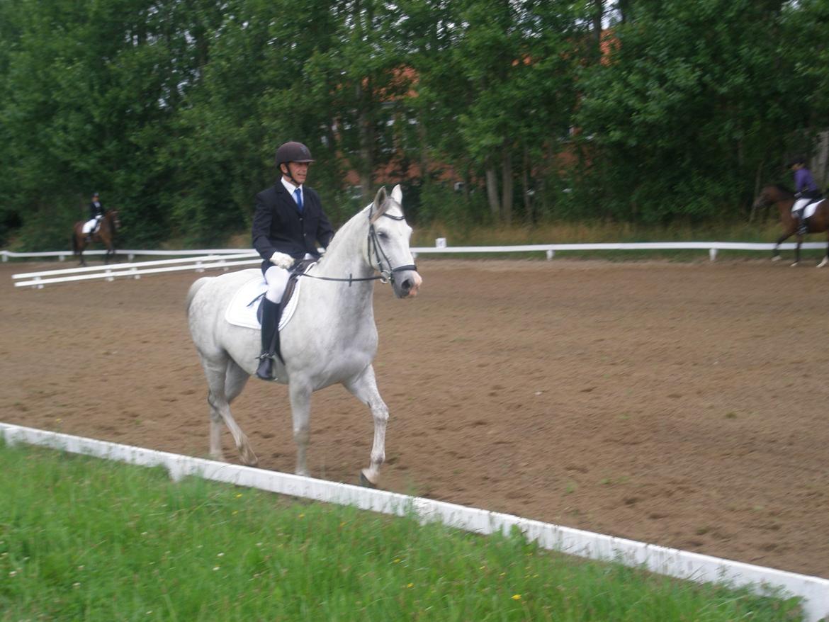 Anden særlig race Lambruzzo - LD1 billede 15