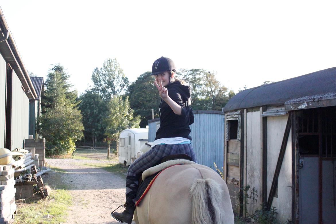 Fjordhest Jarl.<3 [Tidl. Helpart] - Så rider vi afsted.<3 billede 3
