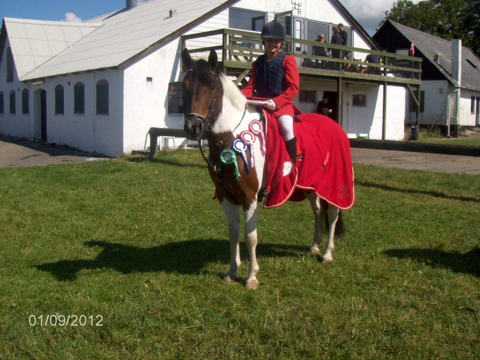 Pinto Spirit - det helt store var der hvor jeg vandt GOR cup 2012. med to nulrunder og en hurtig omspring:) billede 4