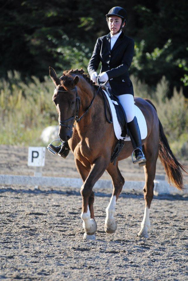 Anden særlig race Big Brother - Mig og Big til stævne 1/9-12. LC3. Foto: Stine Skræm billede 11