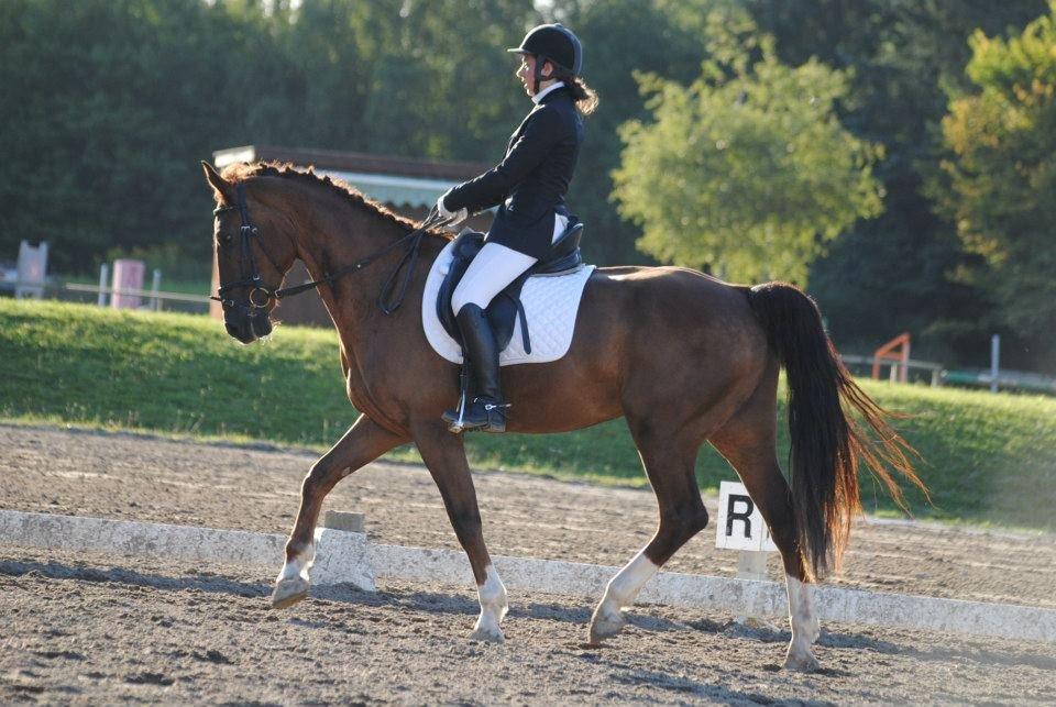 Anden særlig race Big Brother - Mig og Big til stævne 1/9-12. LC3. Foto: Stine Skræm billede 12