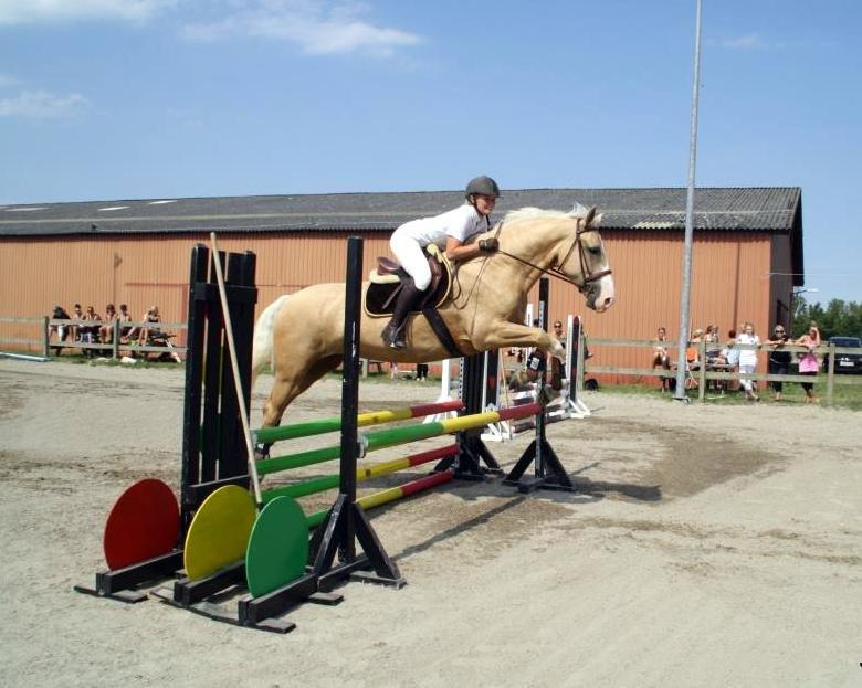 Palomino Axell's Fleetwood billede 19