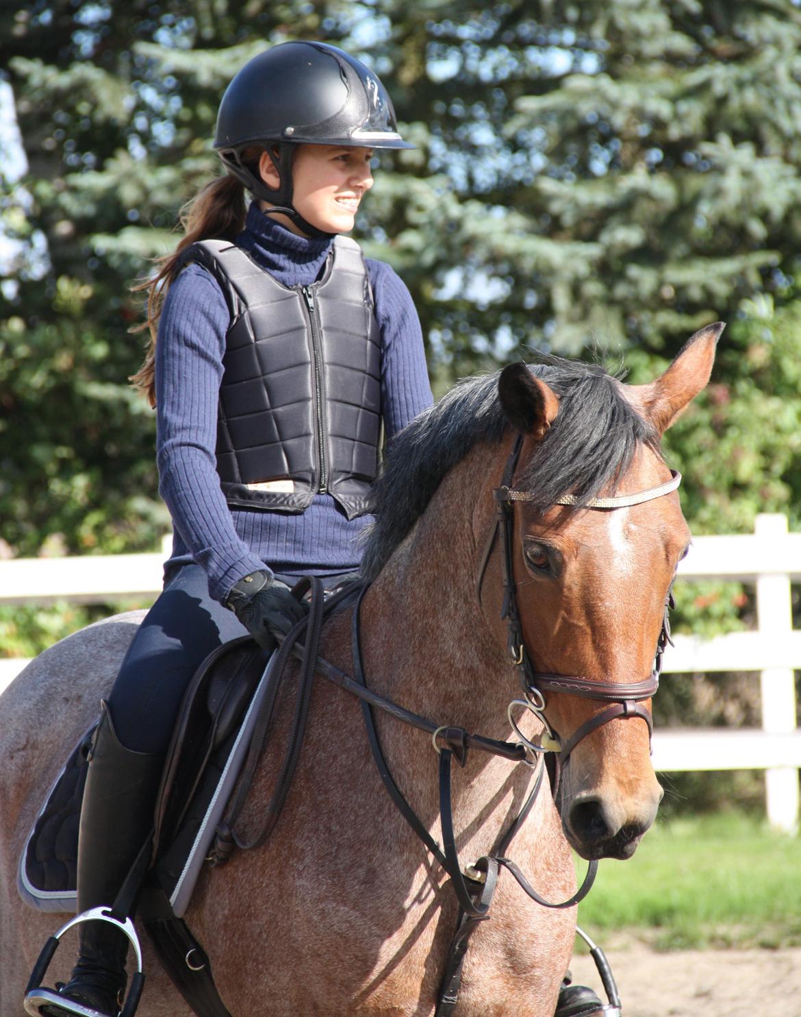 Irsk Sportspony Copper Caramel - Jeg elsker dig mere end noget andet <3
Foto: Celeste billede 8