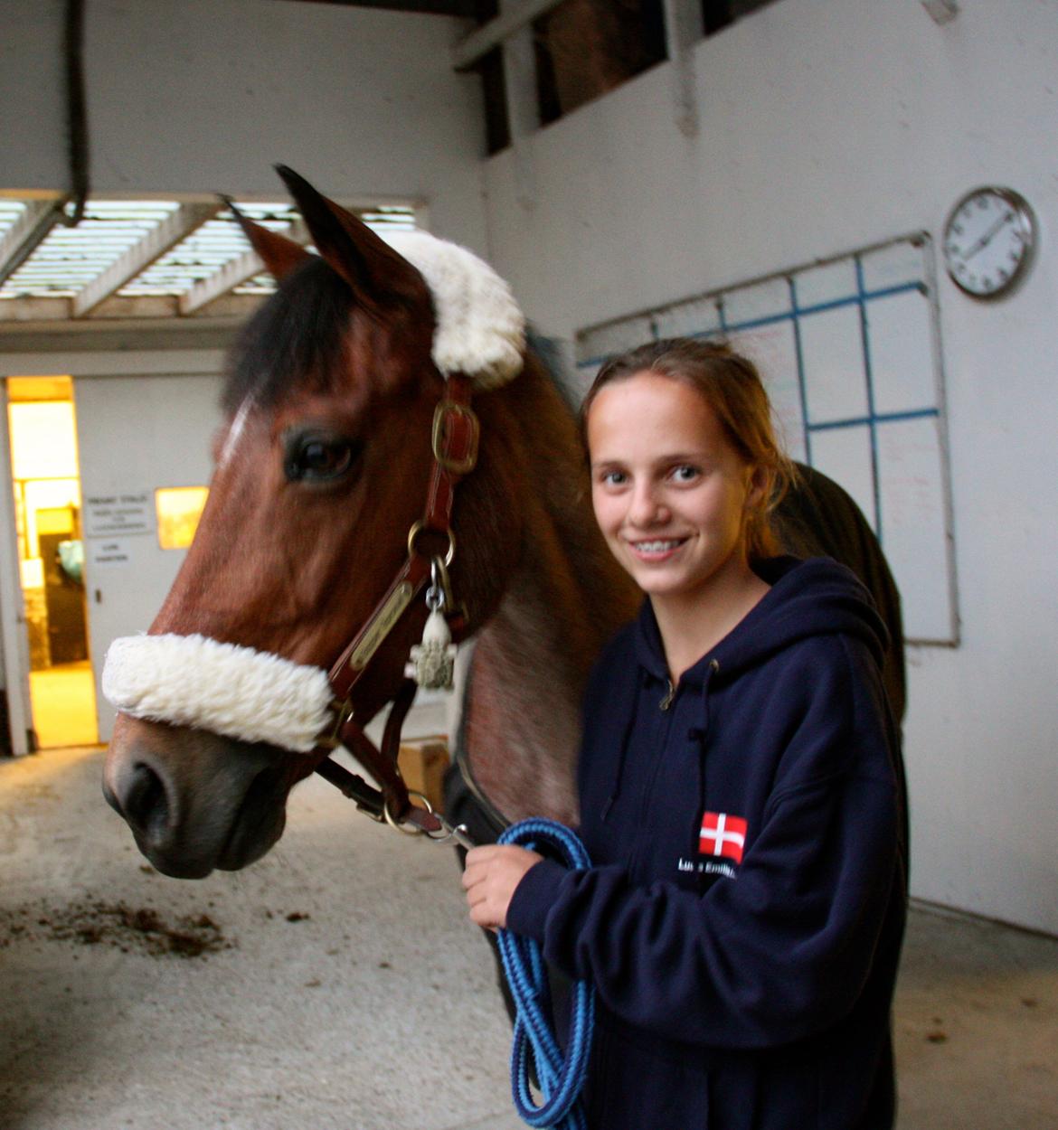 Irsk Sportspony Copper Caramel - Lige da hun var ankommet! Foto: Mor billede 4