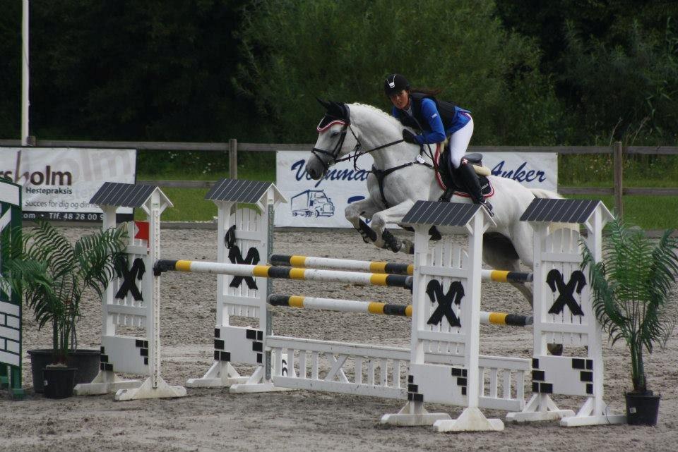 Dansk Varmblod NICE FELLOW - CSIJ-A Baltic Cup, CapaCity 2012.
Første internationale stævne 120 cm. 0 fejl. billede 14