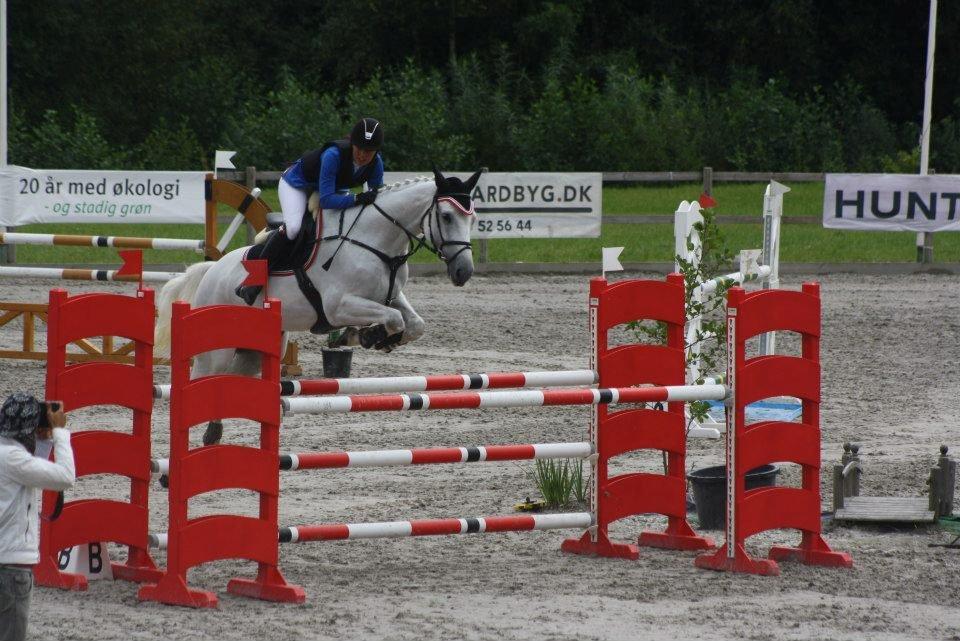 Dansk Varmblod NICE FELLOW - CSIJ-A Baltic Cup, CapaCity 2012.
Første internationale stævne 120 cm. 0 fejl! billede 16