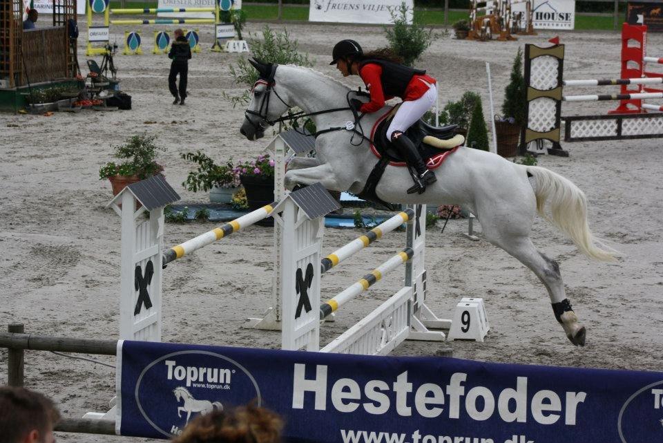 Dansk Varmblod NICE FELLOW - CSIJ-A Baltic Cup, CapaCity 2012.
Første internationale stævne 120 cm - finale 0 fejl! billede 4