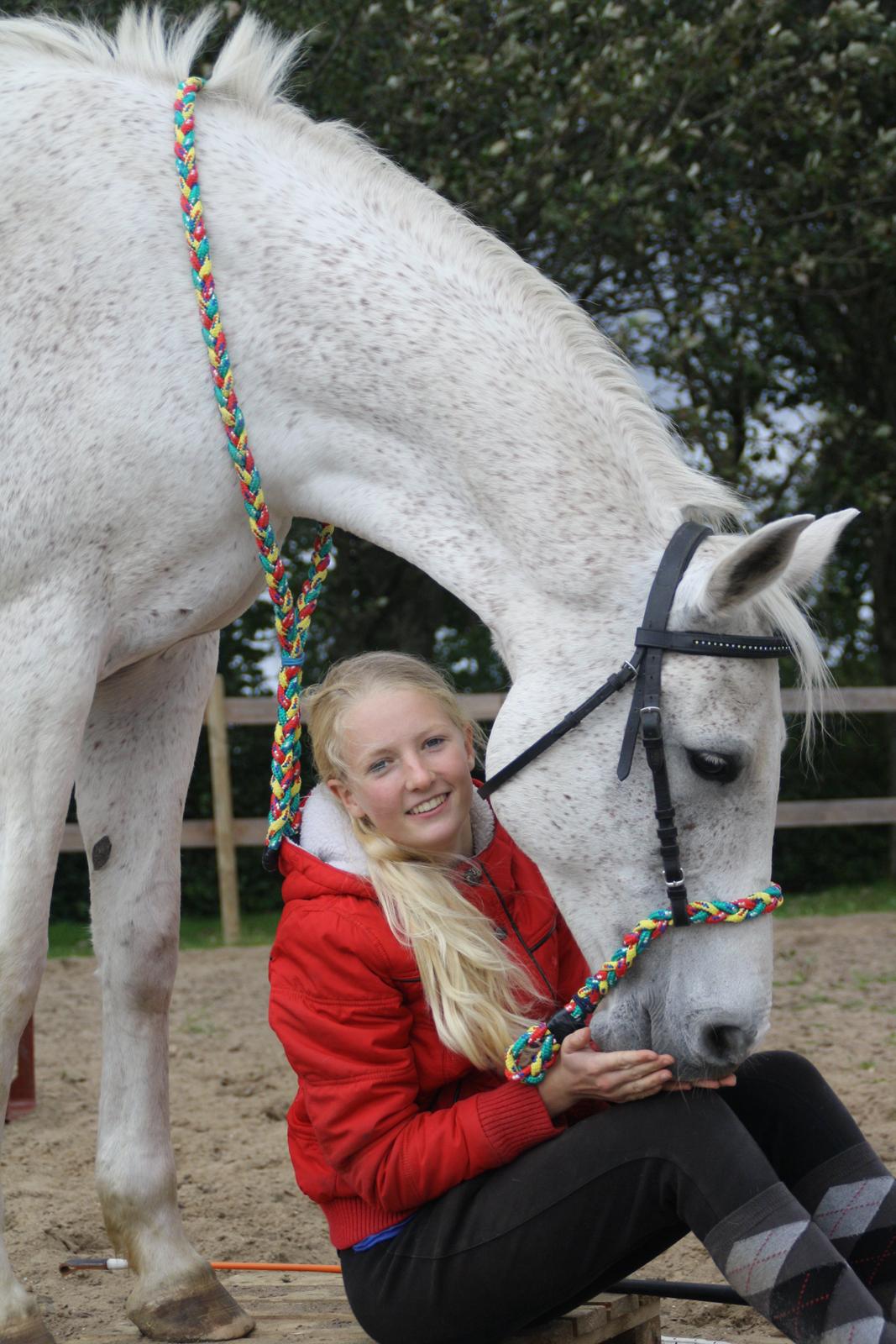 Shagya Araber (SH) Sv's O'balina Lightwood<3 - Money can't buy happiness, but it bought you, and that's pretty much the same thing! <3
Foto: Olivia billede 5