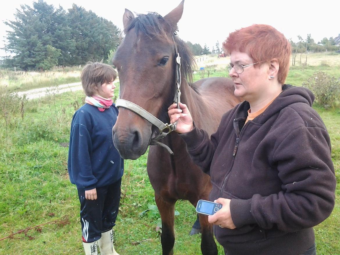 Connemara Marienhøjs Bella billede 16