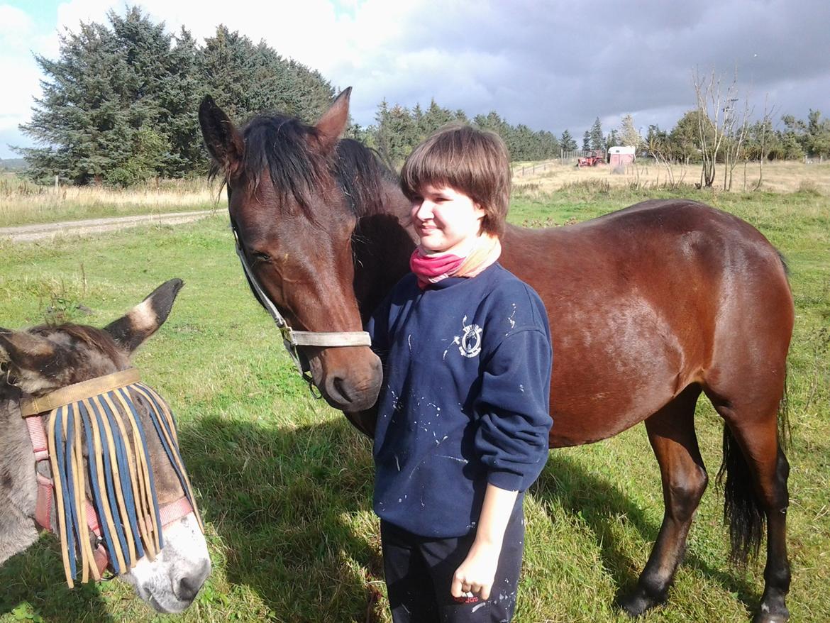 Connemara Marienhøjs Bella billede 18