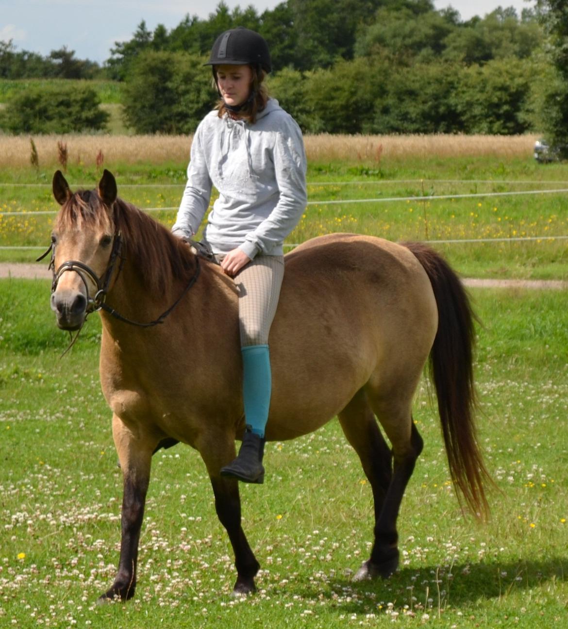 Anden særlig race Bonnie billede 16