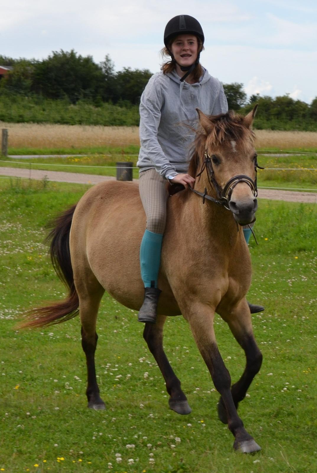 Anden særlig race Bonnie billede 17
