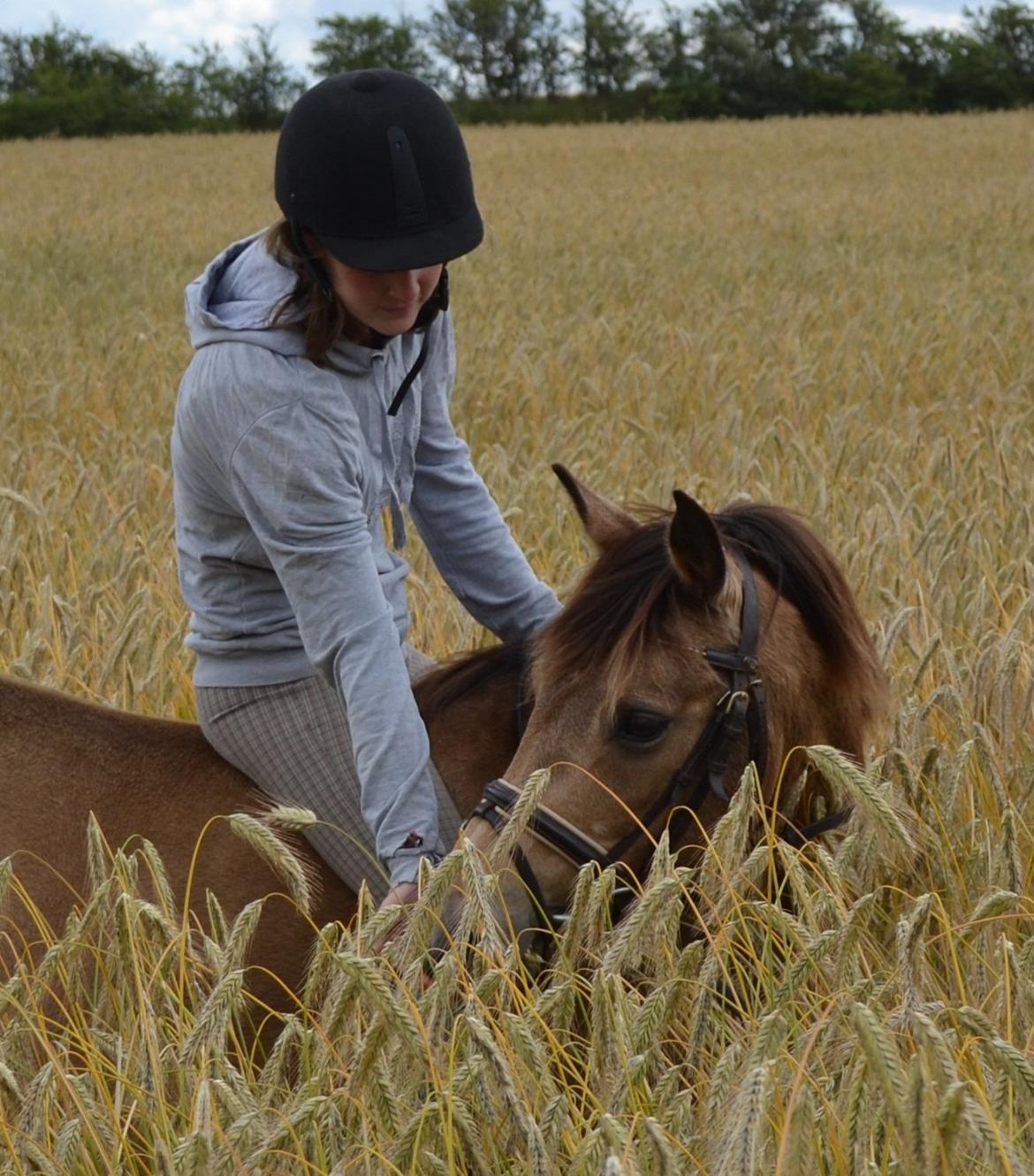 Anden særlig race Bonnie billede 18