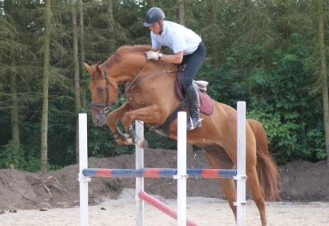 Anden særlig race **Champagne** - Hoppe kan jeg også. billede 9