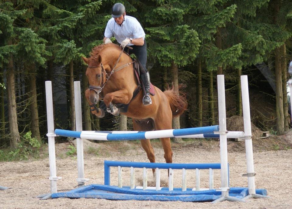 Anden særlig race **Champagne** - weee :)  billede 10