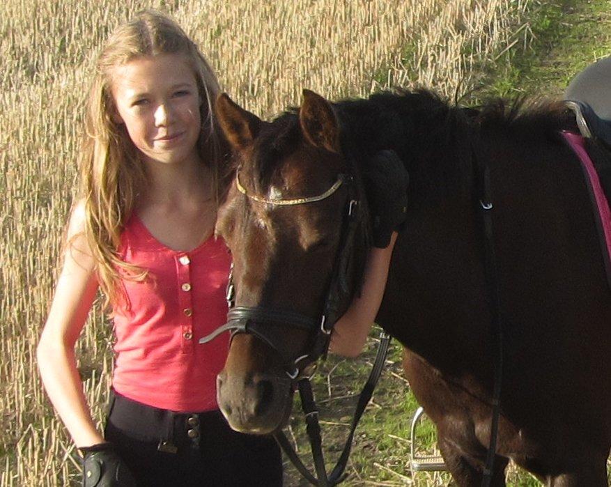 Welsh Pony (sec B) misty - Du er ubeskrivelig<3 billede 15