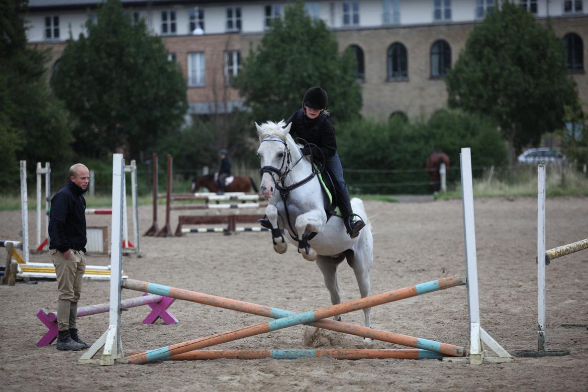 Appaloosa Flashy Littel Joe 'Har lånt' - Vi er 2 men vi svæver som 1!<3 - Spring ved Peter Mertz billede 9