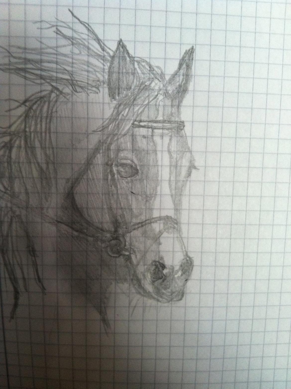 Anden særlig race Cirkeline - mig der lige prøvede at tegne...:-) billede 12