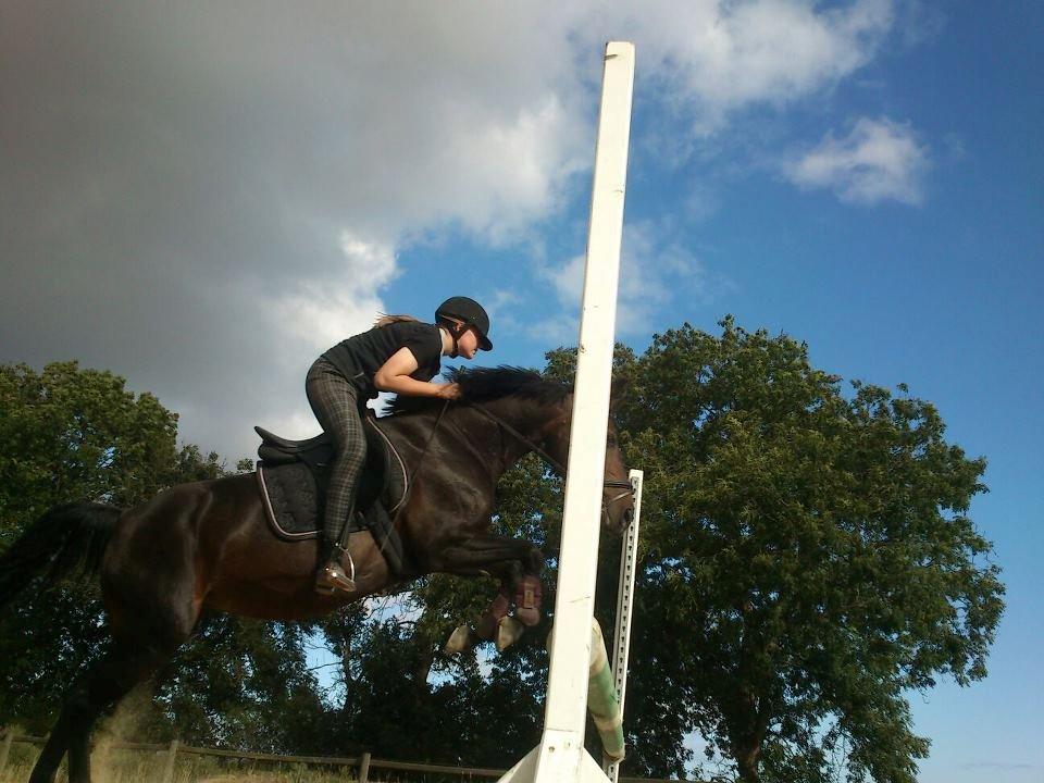 Anden særlig race Cirkeline - en veninde der springer lidt på hende:) billede 14