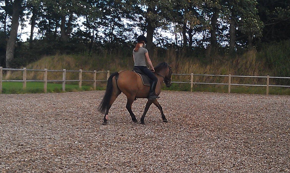 Anden særlig race Lukas Bathalomæus billede 11