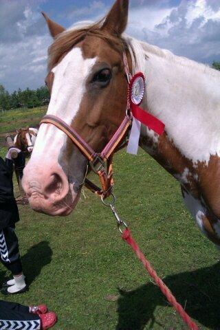 Anden særlig race sally - mit første udestævne:) billede 12