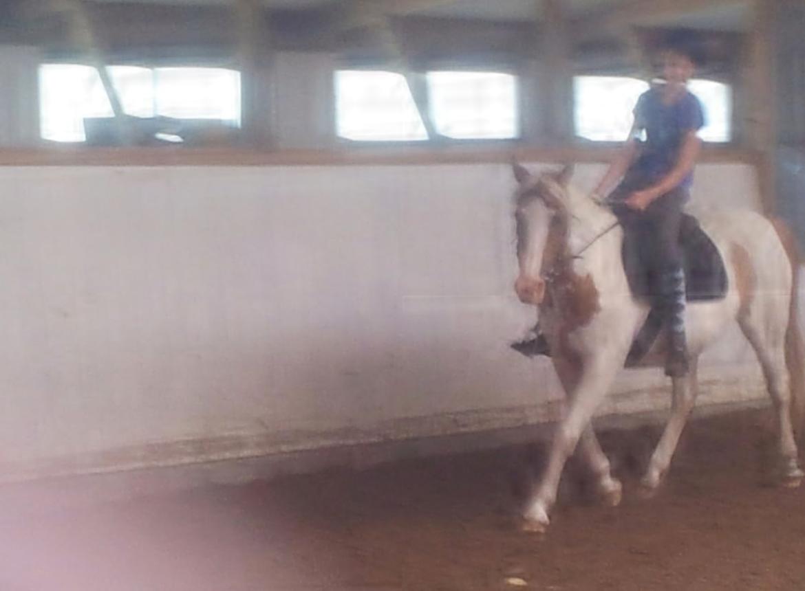 Anden særlig race sally billede 8