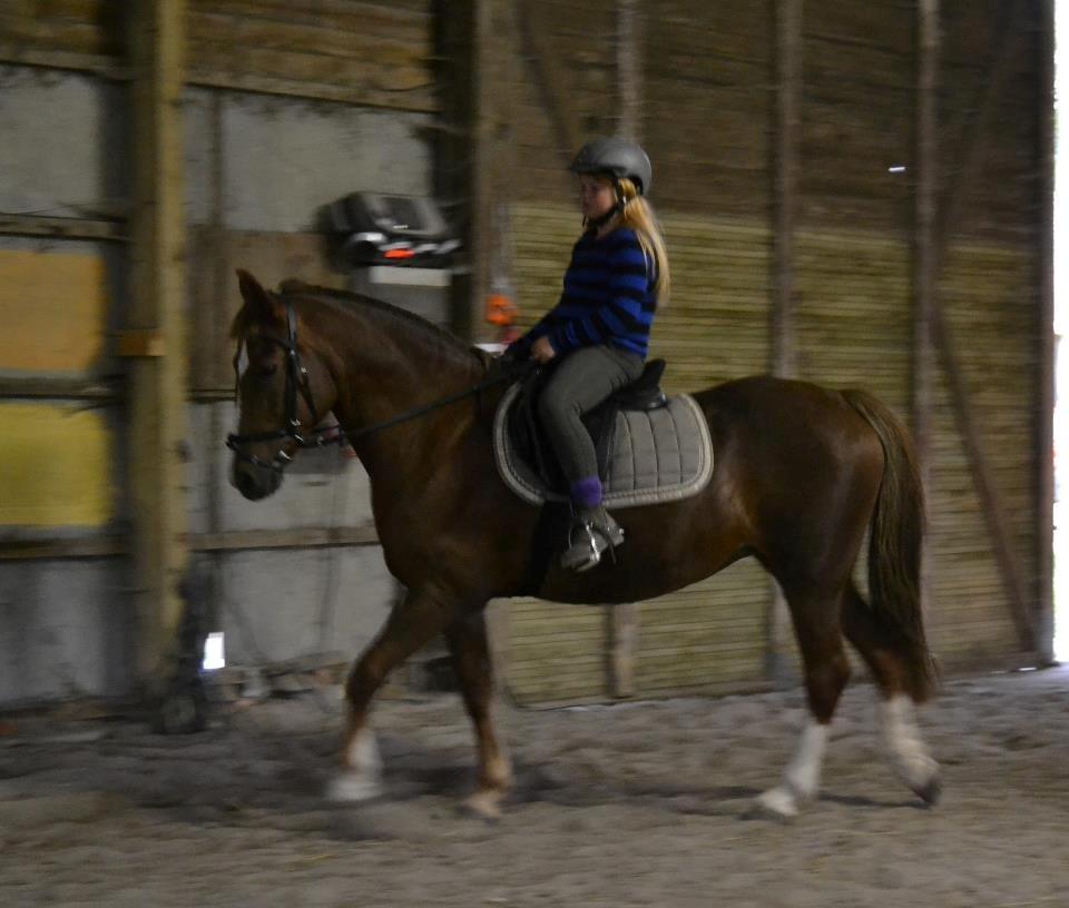 Anden særlig race Cirkeline billede 6