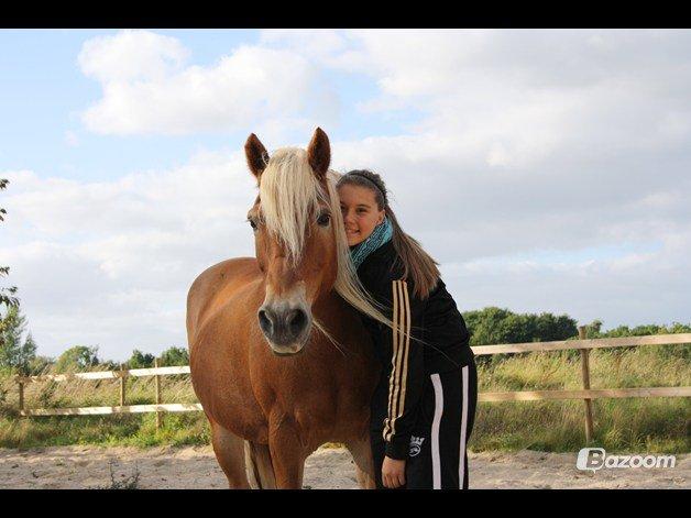 Haflinger Angelica Møllehøjgård - elsker dig! <3

foto: Rikke N tak <3 billede 3