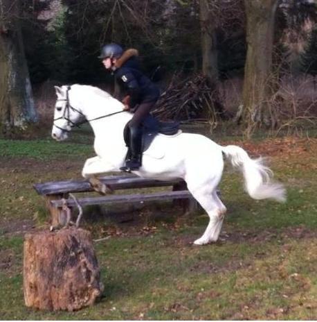Anden særlig race cirkeline - sådan så det ud når vi sprang, og nej jeg tager den ikk i månden!! vis jeg slipper hende så snupler den når vi lander og når det kun er 100cm. så gør det ikk noget!!!! billede 7