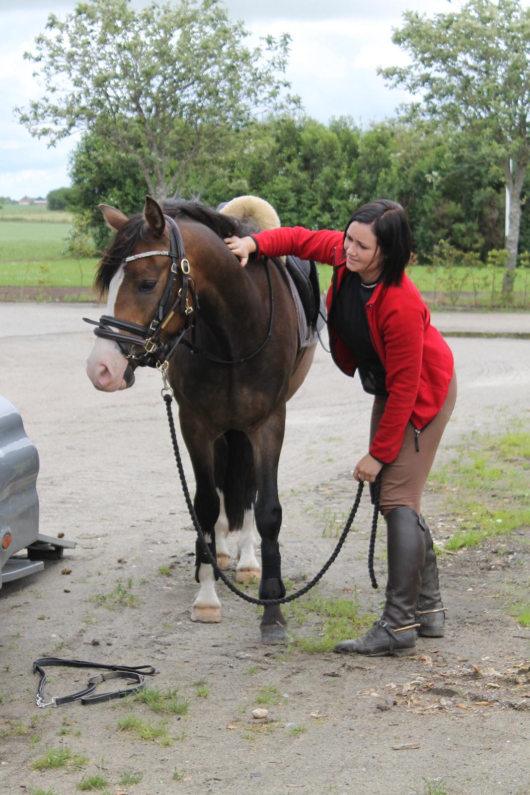 DSP Toftgaards Nice Device billede 8