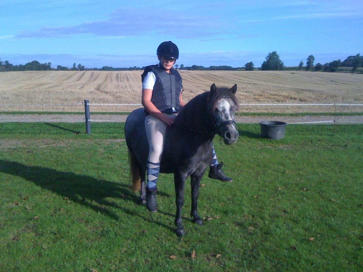 Anden særlig race Annabel billede 17