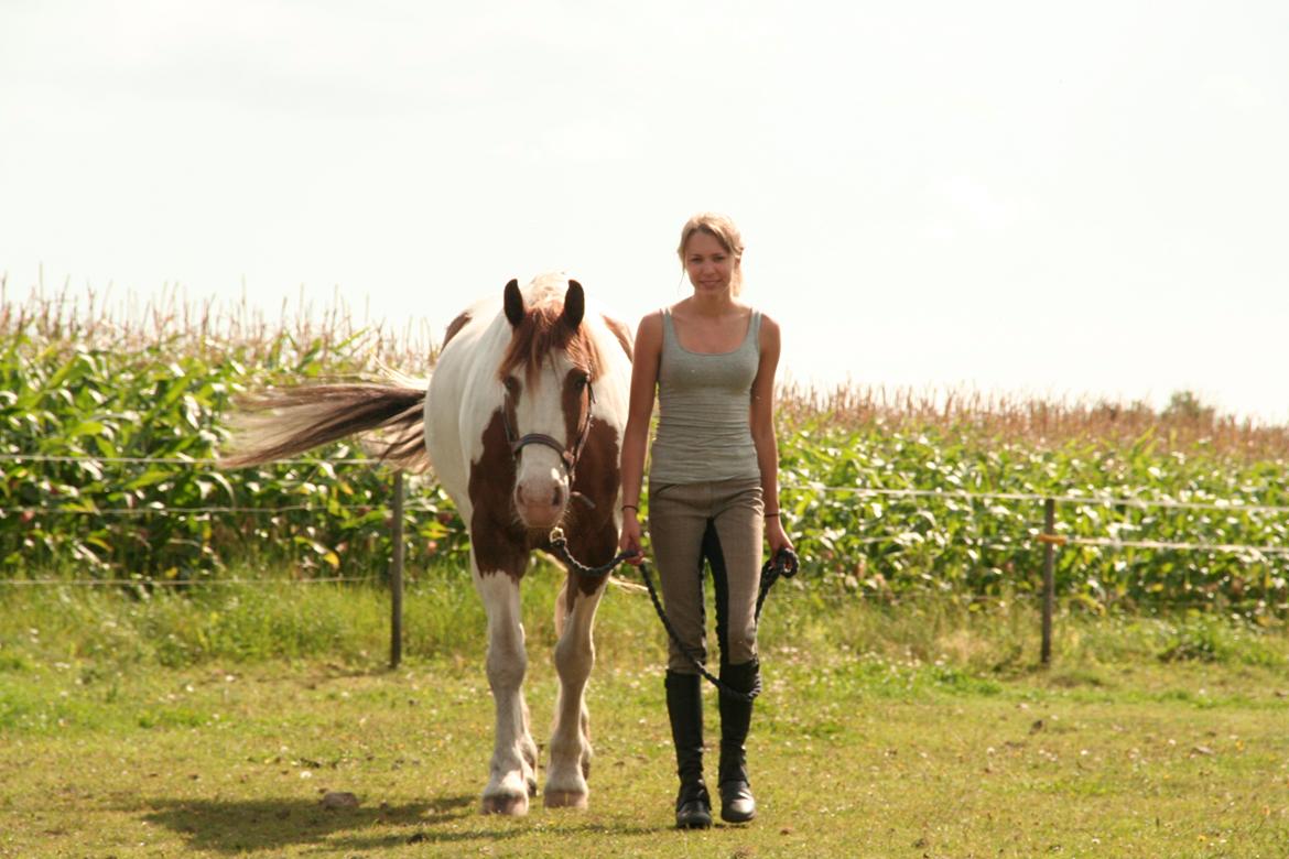 Anden særlig race Akito billede 9