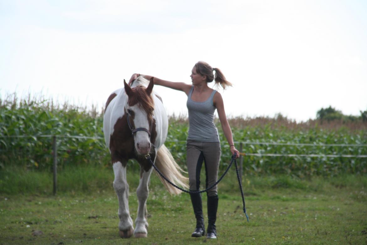Anden særlig race Akito billede 10