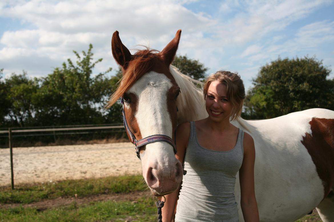 Anden særlig race Akito billede 12