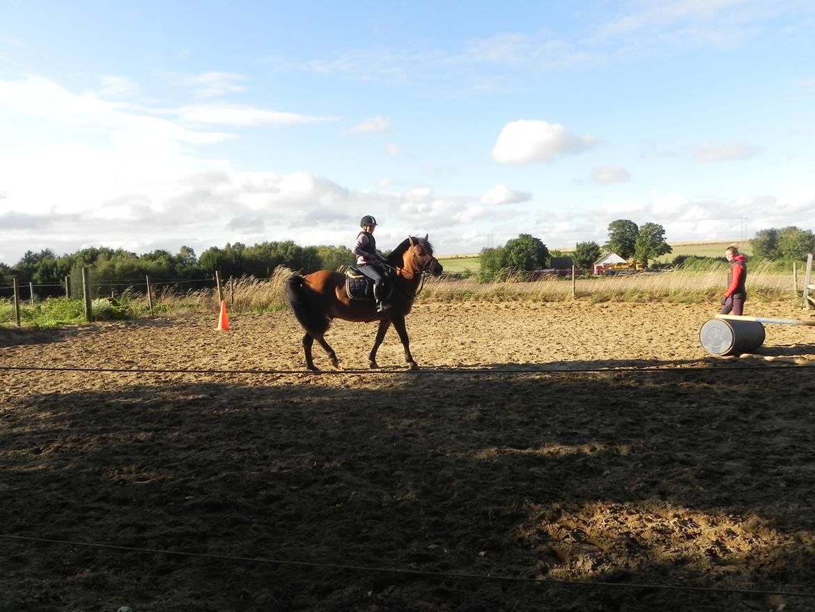 Anden særlig race Codiack - <3 <3 kærlighed er et bud med tremmer af lykke billede 5