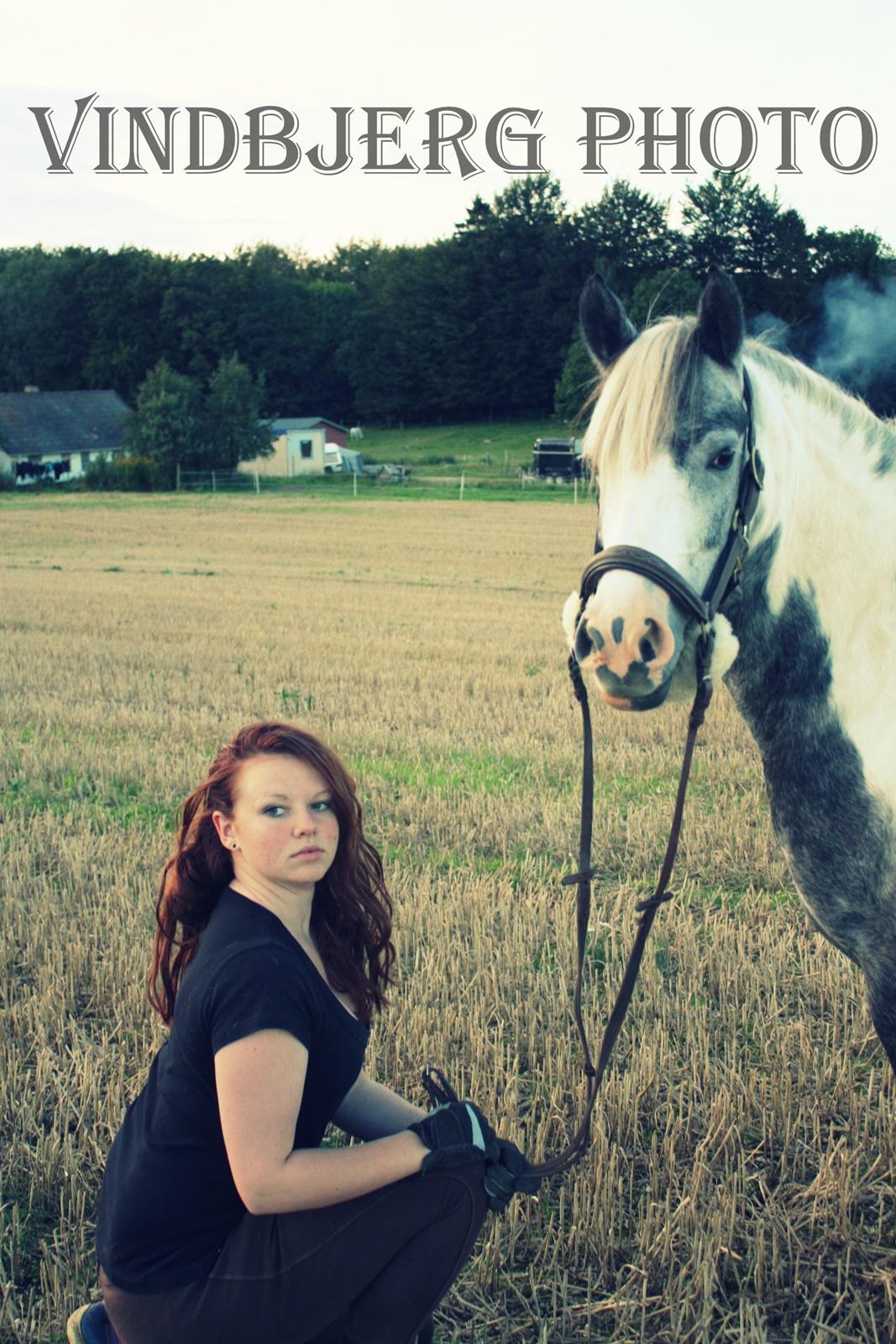 Pinto Vindbjergs starlight - baby og mig  sidste ride tur inden "pausen" før kåring  billede 1