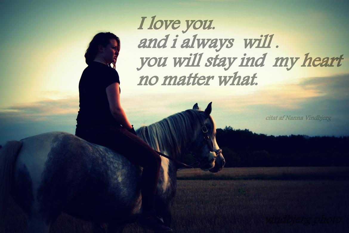 Pinto Vindbjergs starlight billede 17