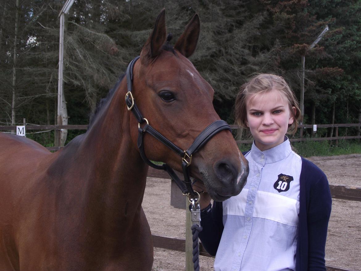 Tysk Sportspony Holsteins Jovenca<3 billede 11