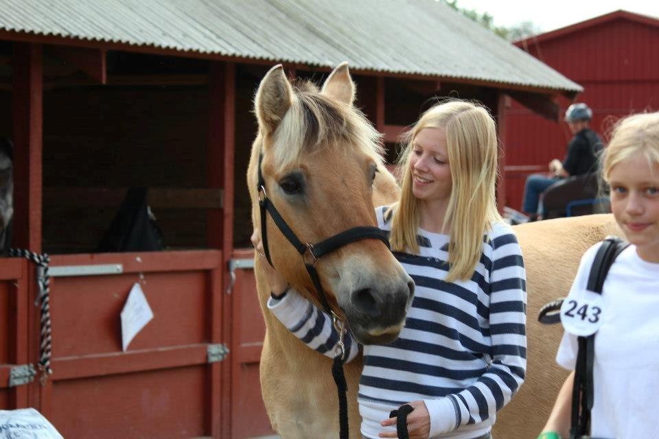Fjordhest Ikena R.I.P 02-05-2013 - Love <3 billede 7