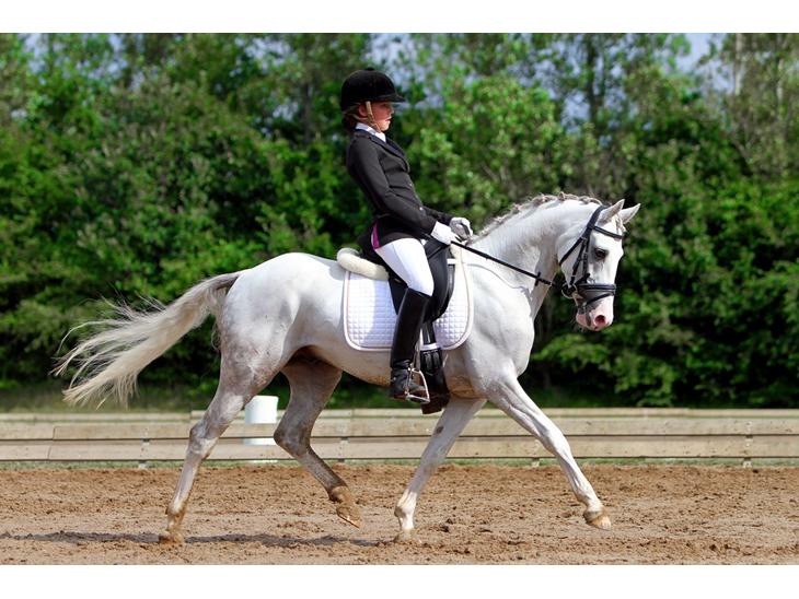 {{currentPhoto.altText}} billede {{currentPhoto.number}}