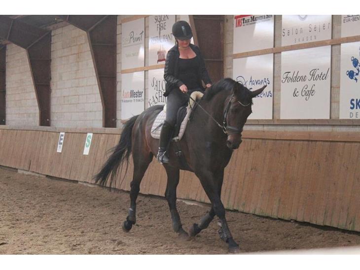 {{currentPhoto.altText}} billede {{currentPhoto.number}}